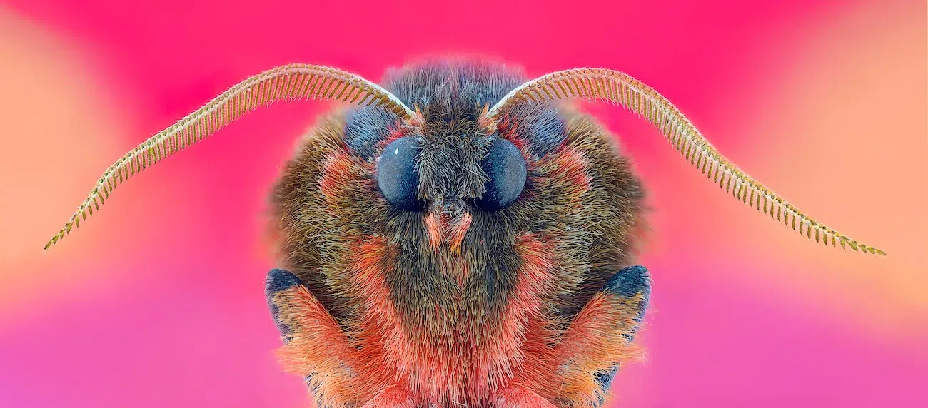 The Curiosity Index 2026: Week 06